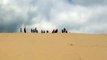 Sandboarding On The Dunes | Moreton Island Tours | Moreton Island Sunset Safaris