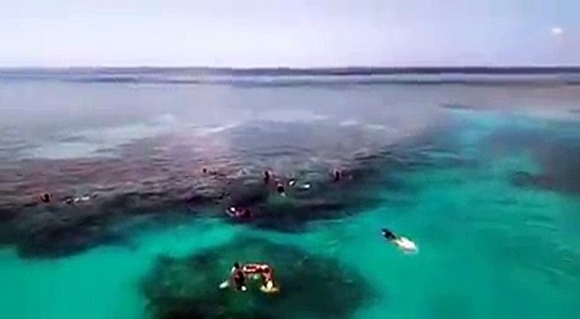 Great Barrier Reef 3 Day Tour | Great Barrier Reef Day Tours | Great Barrier Reef Tour