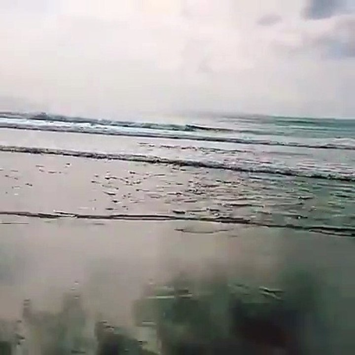 Fraser Island Tour | Fraser Island 2 Day Tour | Fraser Island 3 Day Tours