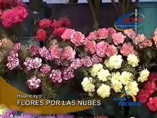 FLORES POR LAS NUBES - HUANCAYO