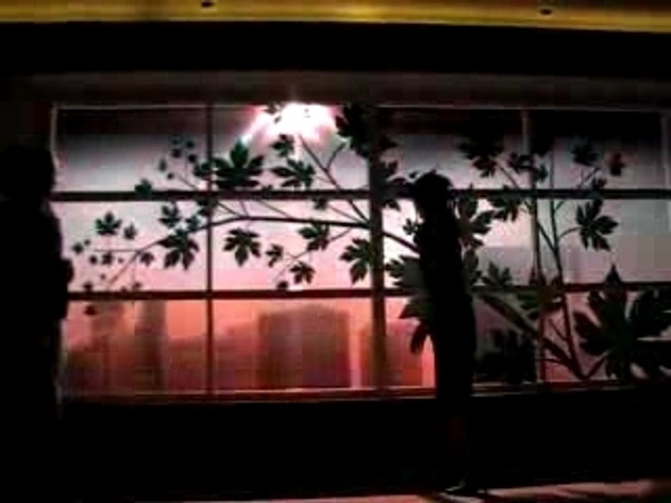 Philips  window - Dynamic Daylight Display Window