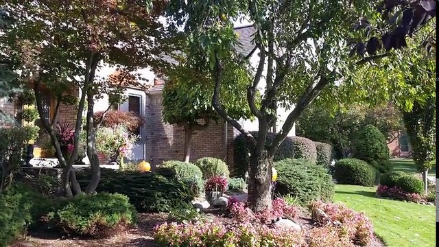 Google Pixel vs Pixel XL (All Colors)- Unboxing & Review