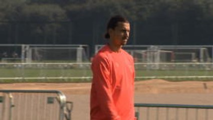 Ibrahimovic will boost Man United - Bolt