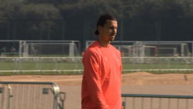 Ibrahimovic will boost Man United - Bolt