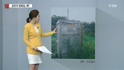 "한눈판 사이에..." 화장실 점령한 공포의 말벌집 / YTN (Yes! Top News)