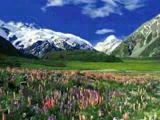 Faune, Flore et Paysage