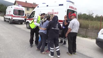 Tarlada Arıların Saldırısına Uğrayan 7 İşçi ve 3 Çocuk Tedavi Altına Alındı