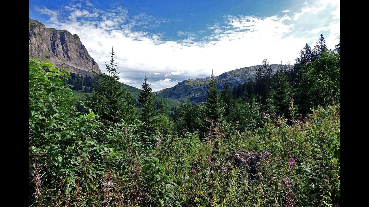 Pragelpass 23.08.2017 (CH), KTM 690 SMC-R