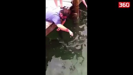 Shikoni menyren spektakolare sesi ky njeri peshkon (360video)