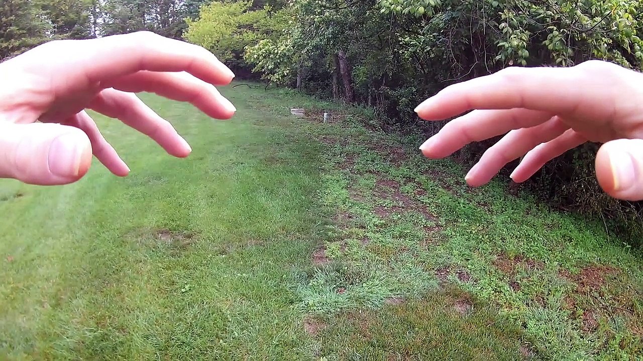 VR POV QI GONG Fresh New Morning