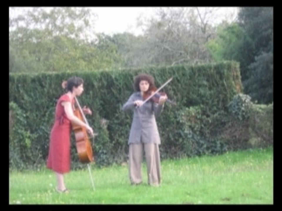 Fleurs de bach 2