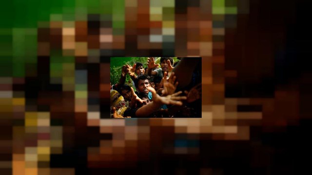 Рохинджа: правозащитники бьют тревогу