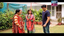 Haal-e-Dil Ep 205 - ARY Zindagi Drama