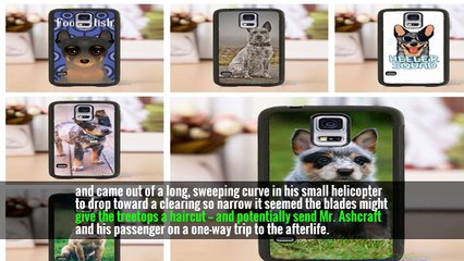 A Flying Cowboy Rides to Rescue Cattle Stranded in Harvey’s Floods