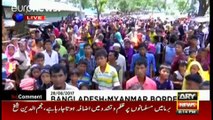 Myanmar govt does not accept Rohingya Muslims: PTI's Ali Zaidi