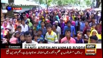 Myanmar govt does not accept Rohingya Muslims: PTI's Ali Zaidi