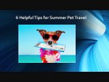 6 Helpful Tips for Summer Pet Travel