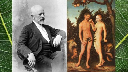 Tchaikovsky: Waltz Op. 40 (Kevin MacLeod, piano)