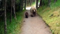 An Adventurous Trek With The Bear Family