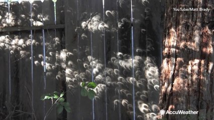 How to take the best photos of eclipse shadows