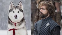 Peter Dinklage wants 'GoT' fans to stop buying direwolf-like puppies