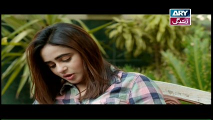 Haya Kay Rang Episode 146 In High Quality on Ary Zindagi 5th September 2017