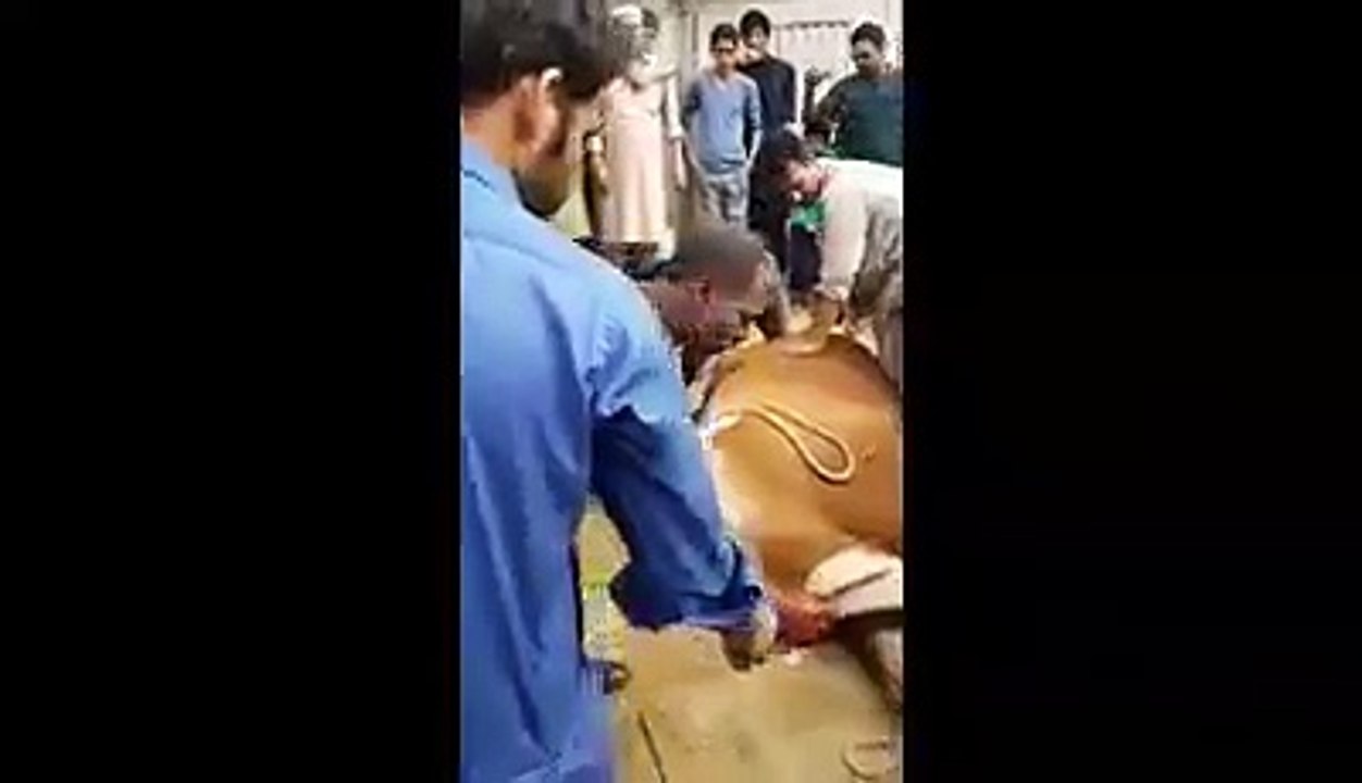 pakistani cricket Captain Sarfaraz Ahmed Qurbani Karte Howe