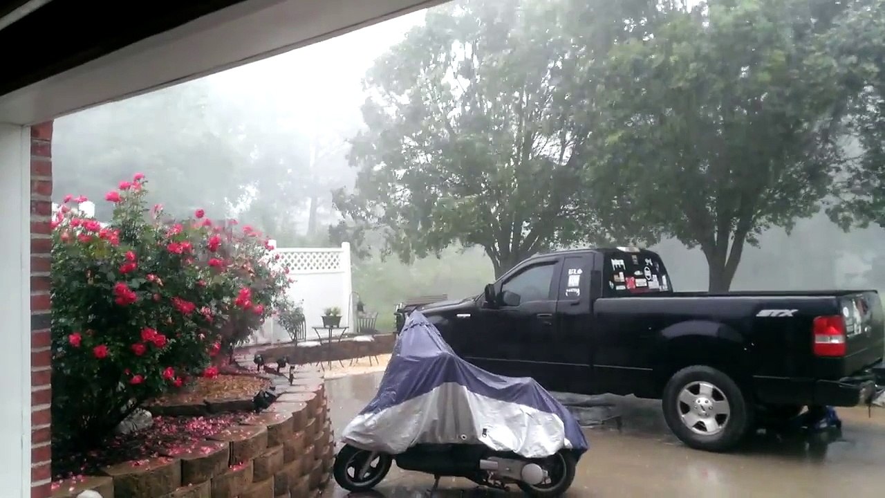 3 arbres arrachés en quelques secondes de tempête !!