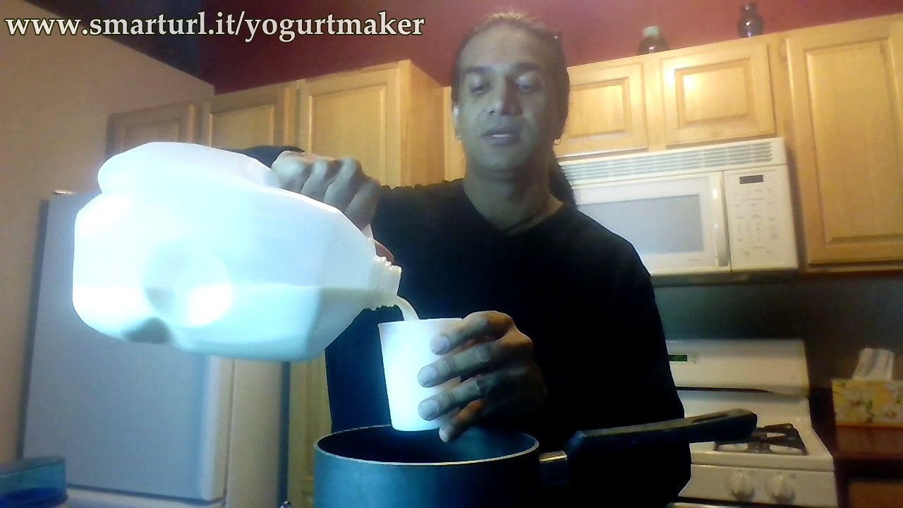 DIY Homemade Yogurt - How To Use Salton Yogurt Maker