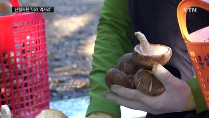 이제는 산림 바이오산업..."산림은 미래 먹거리" / YTN (Yes! Top News)