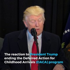 Square: Hollywood Twitter reactions to Trump DACA decision