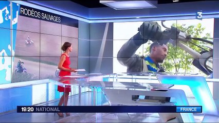 Les rodéos sauvages, un phénomène qui prend de l'ampleur
