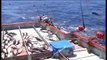 Amazing Net Fishing Catch Big Tuna in The Sea