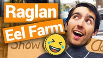 Raglan Eel Farm - New Zealand's Biggest Gap Year – Backpacker Guide New Zealand
