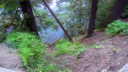 the car couldn't stop in time..