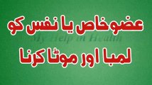 Azzu e Khas Ko Mota Aur Lamba Karna - Tips In Urdu - 100% Azmoda - عضوخاص کی طاقت کا لاجواب نسخہ