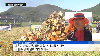 토종벌 '에이즈' 확산...성난 농가들 벌통 소각 / YTN (Yes! Top News)