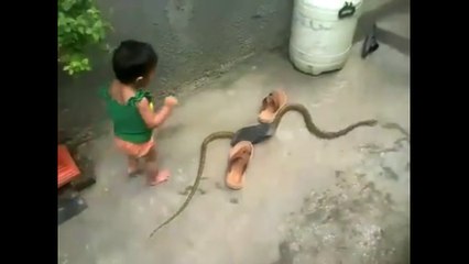 Baby Playing With Snake