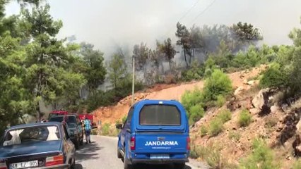 Muğla'da Orman Yangını (3)