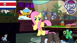 My Little Pony La Magia de la Amistad. Temporada 7 Ep 148 ''Fluttershy Resuelta''  Español Latino (HD).