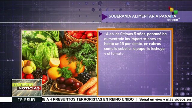 Panamá: TLC y abandono de sector agrícola merman soberanía alimentaria