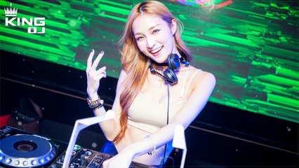 剛好遇見你EDM ✘ 願得一人心 ✘ 平凡之路 慢摇EDM 2017 (DJ 小新盧)