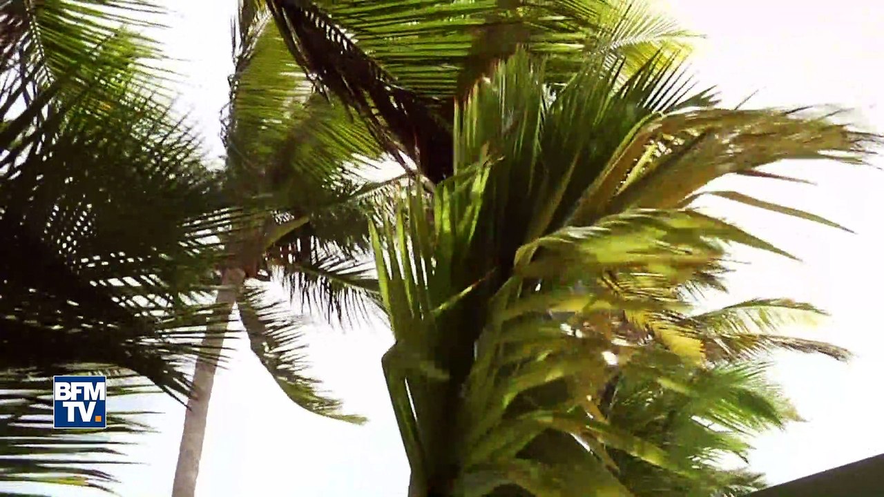 À Saint-Martin, les habitants sont appelés à quitter le littoral avant l’arrivée de l’ouragan Irma