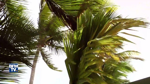 À Saint-Martin, les habitants sont appelés à quitter le littoral avant l’arrivée de l’ouragan Irma