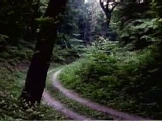 카지노해외카지노＼＼【 ＢＳＣ８２。ＣＯＭ 】＼＼카지노베팅법