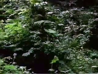 플레이온카지노＼＼【 ＬＯＵ８２。ＣＯＭ 】＼＼토토추천