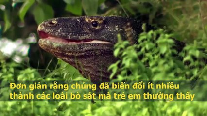 5 câu hỏi của trẻ em khiến người lớn phải đau đầu tìm lời giải đáp