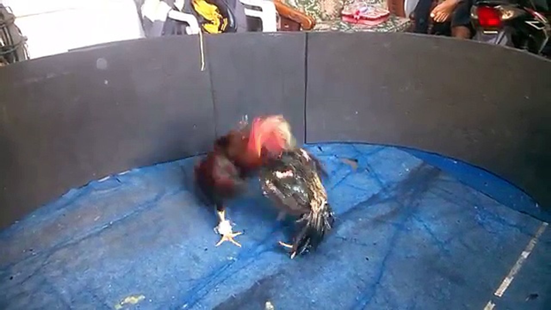 8100 Koleksi Hantu Bungkus Ikat Tepi Dailymotion Terbaru