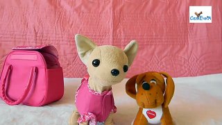 En video y la historia de la bolsa perro estrella interactiva chichilav sus amigos dos gato perro