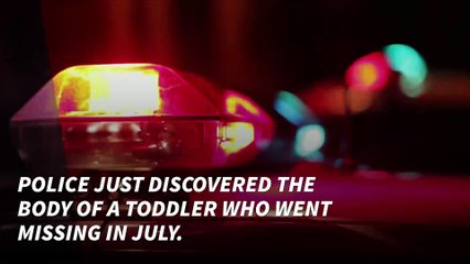 Missing toddler's body found in concrete of former home